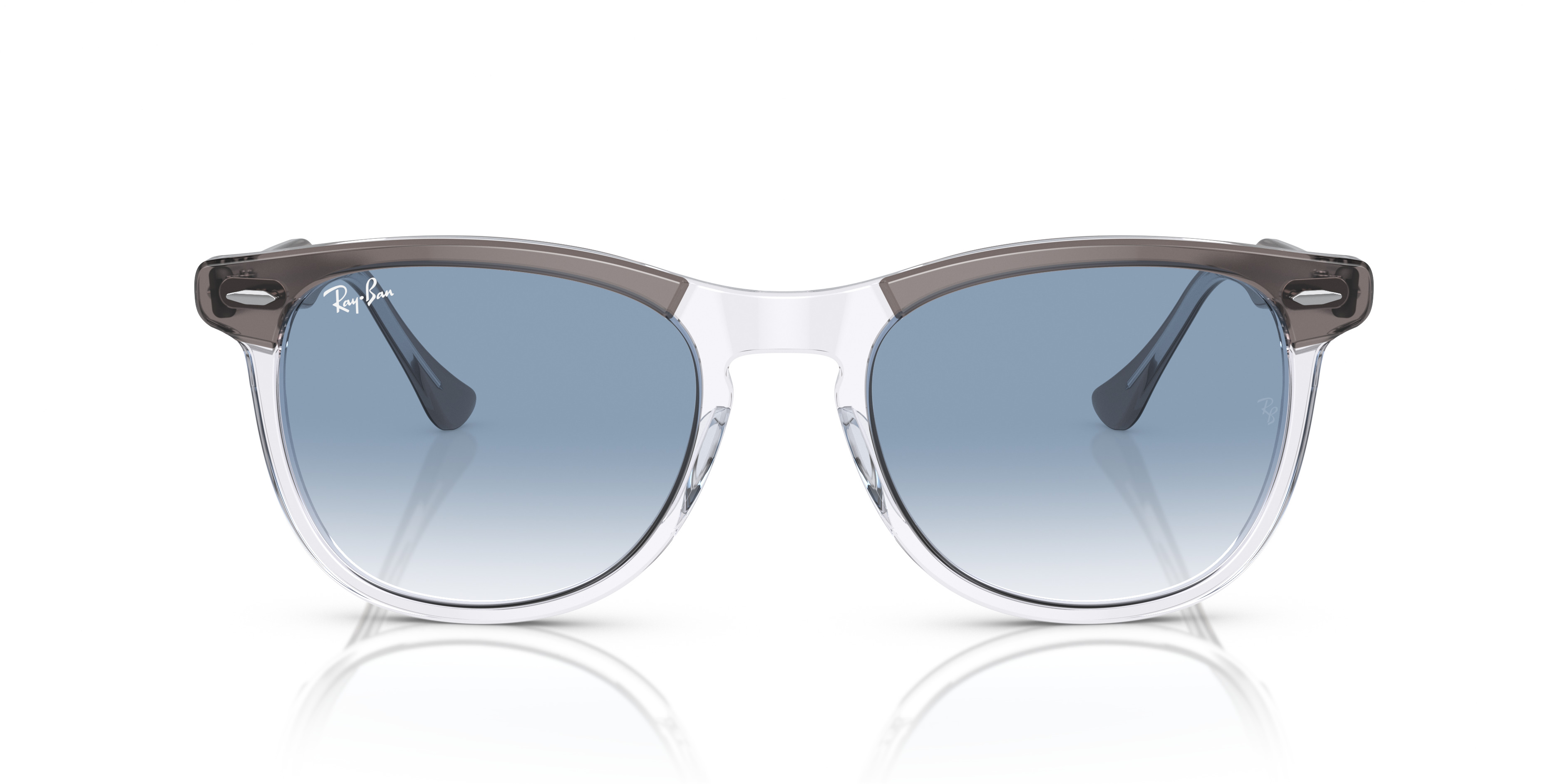 RB2398 Eagle Eye - 2