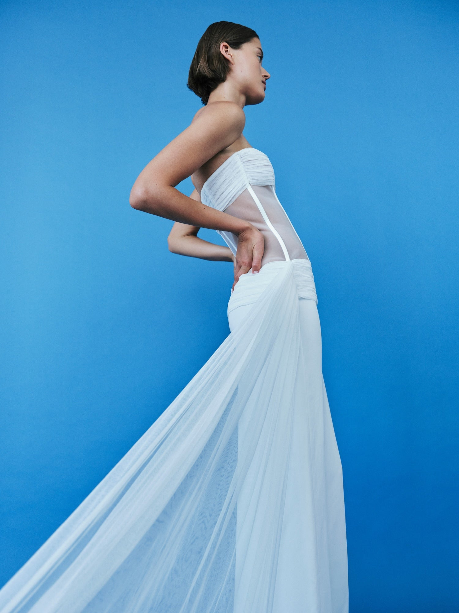 Veiled Corset Dress - 7