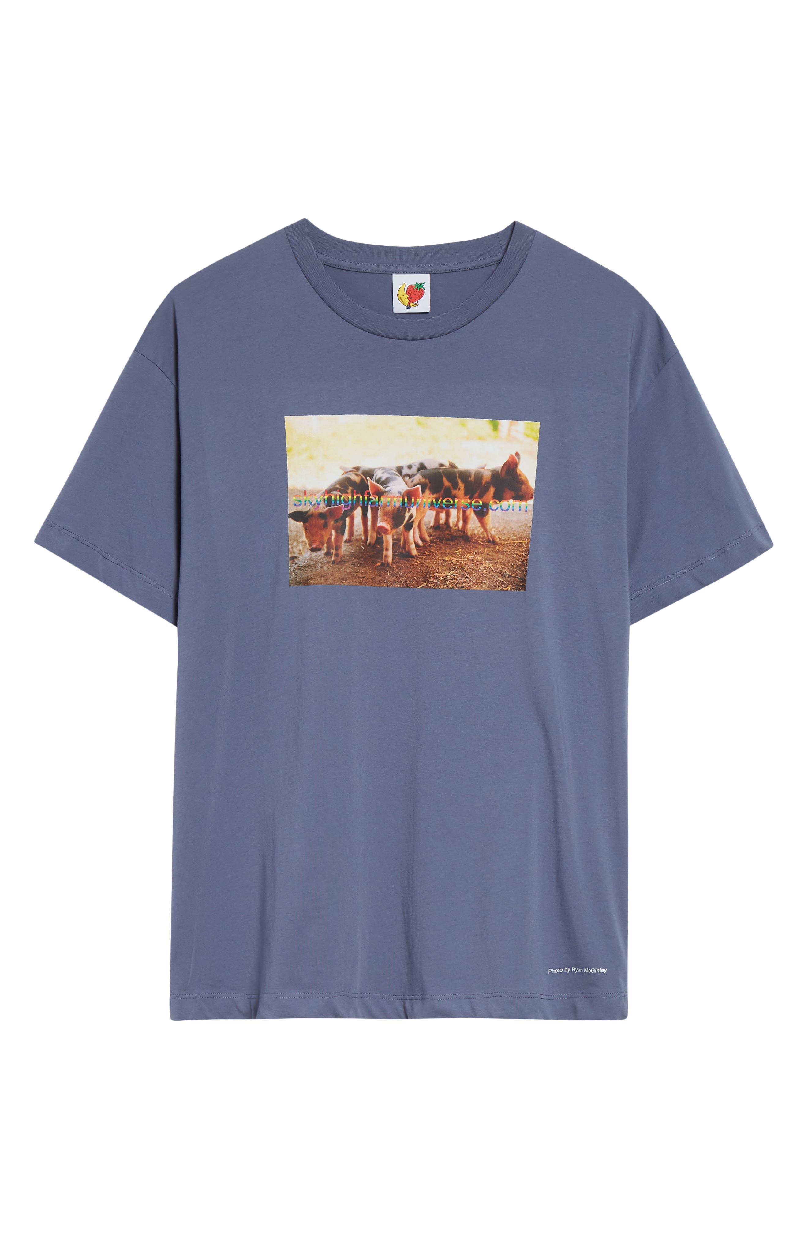 Sky High Farm Workwear Gender Inclusive Pigs Farm Regenerative Cotton Graphic T-Shirt in Navy at Nor - 5