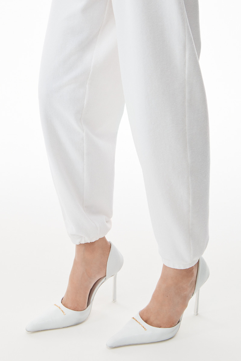 Alexander Wang VIOLA 105 PUMP IN CAPRETTO outlook