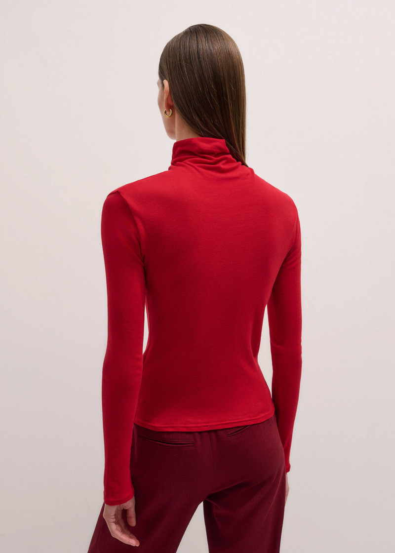 Sheer High Neck Top 4