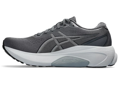 Asics GEL-KAYANO 30 EXTRA WIDE outlook