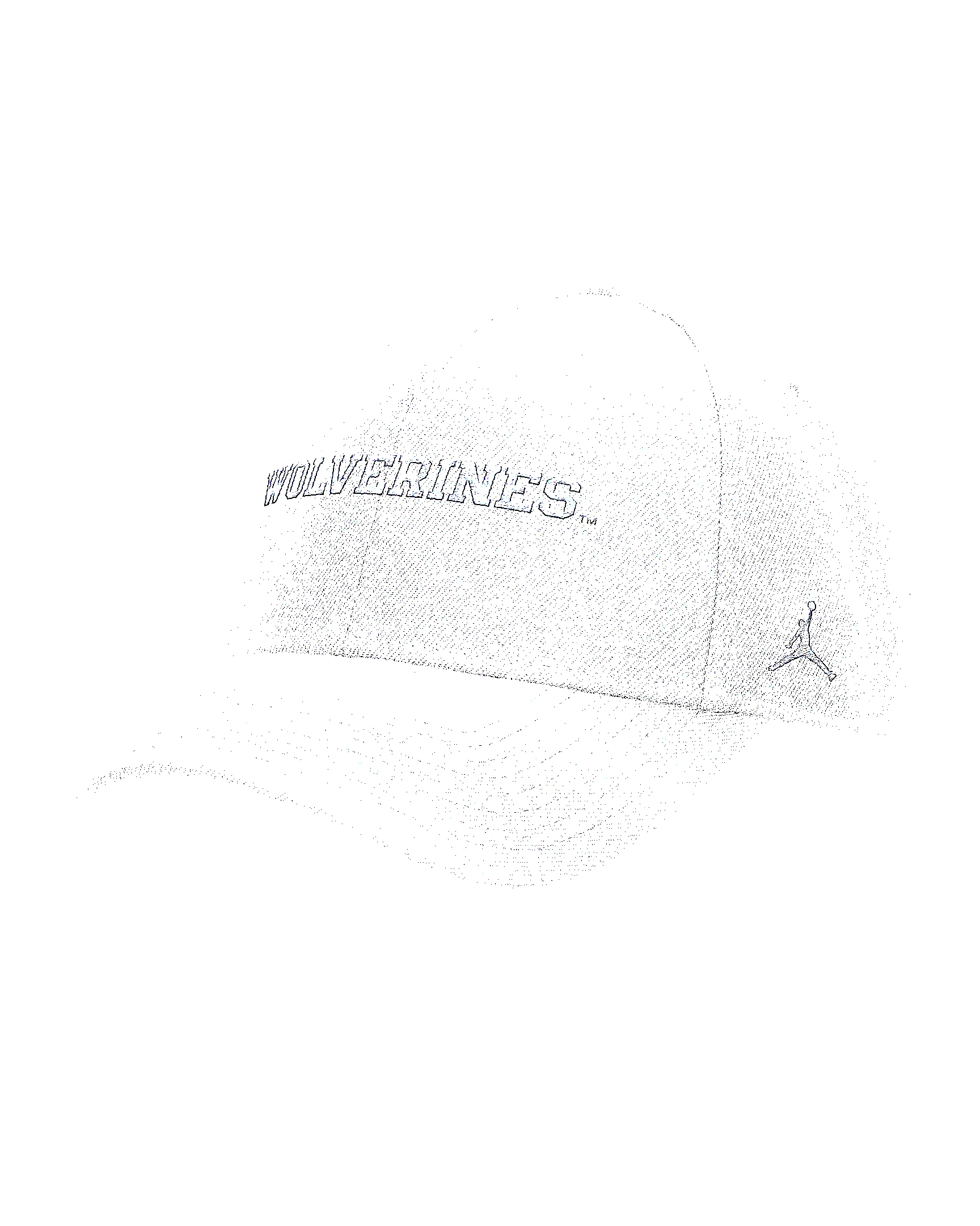 Michigan On-Field Rise Gameday Men's Jordan Brand Dri-FIT College Trucker Adjustable Hat - 1