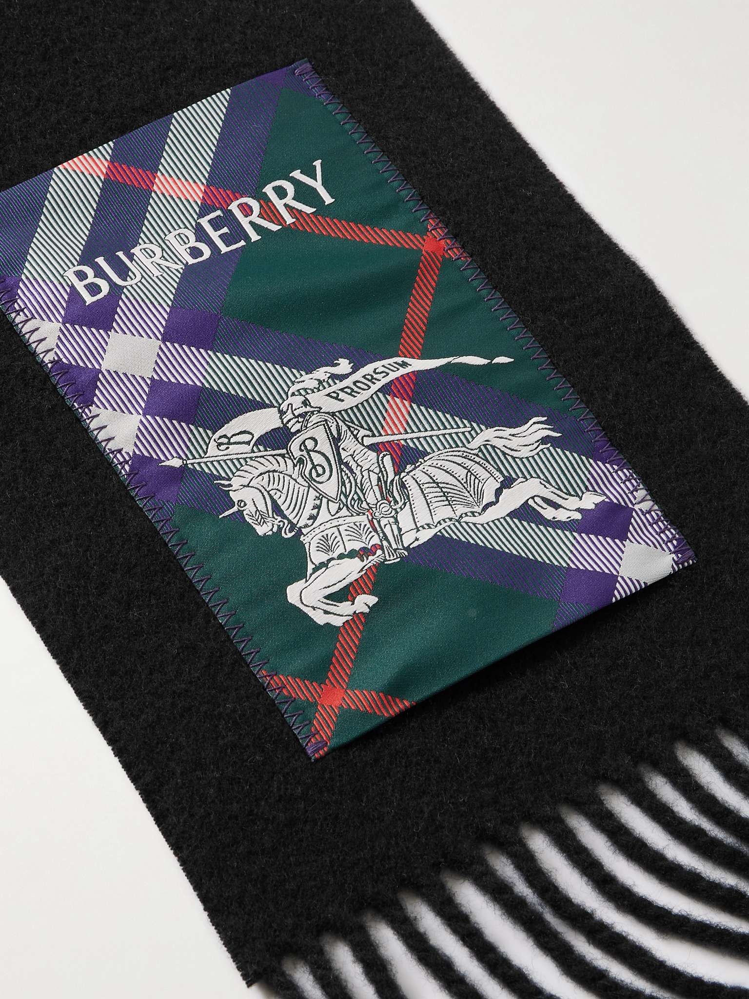 Fringed Appliquéd Cashmere Scarf - 3