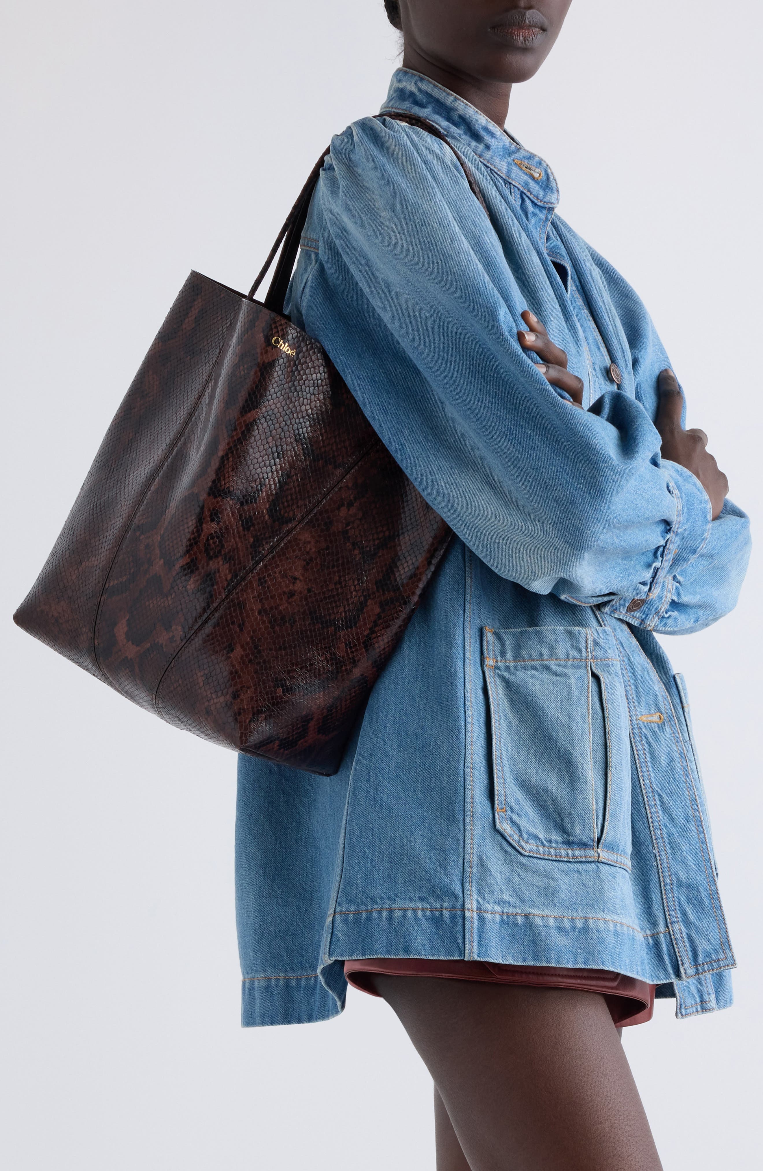 Chloé Large Spin Snakeskin Embossed Leather Tote in Sooty Brown at Nordstrom - 6