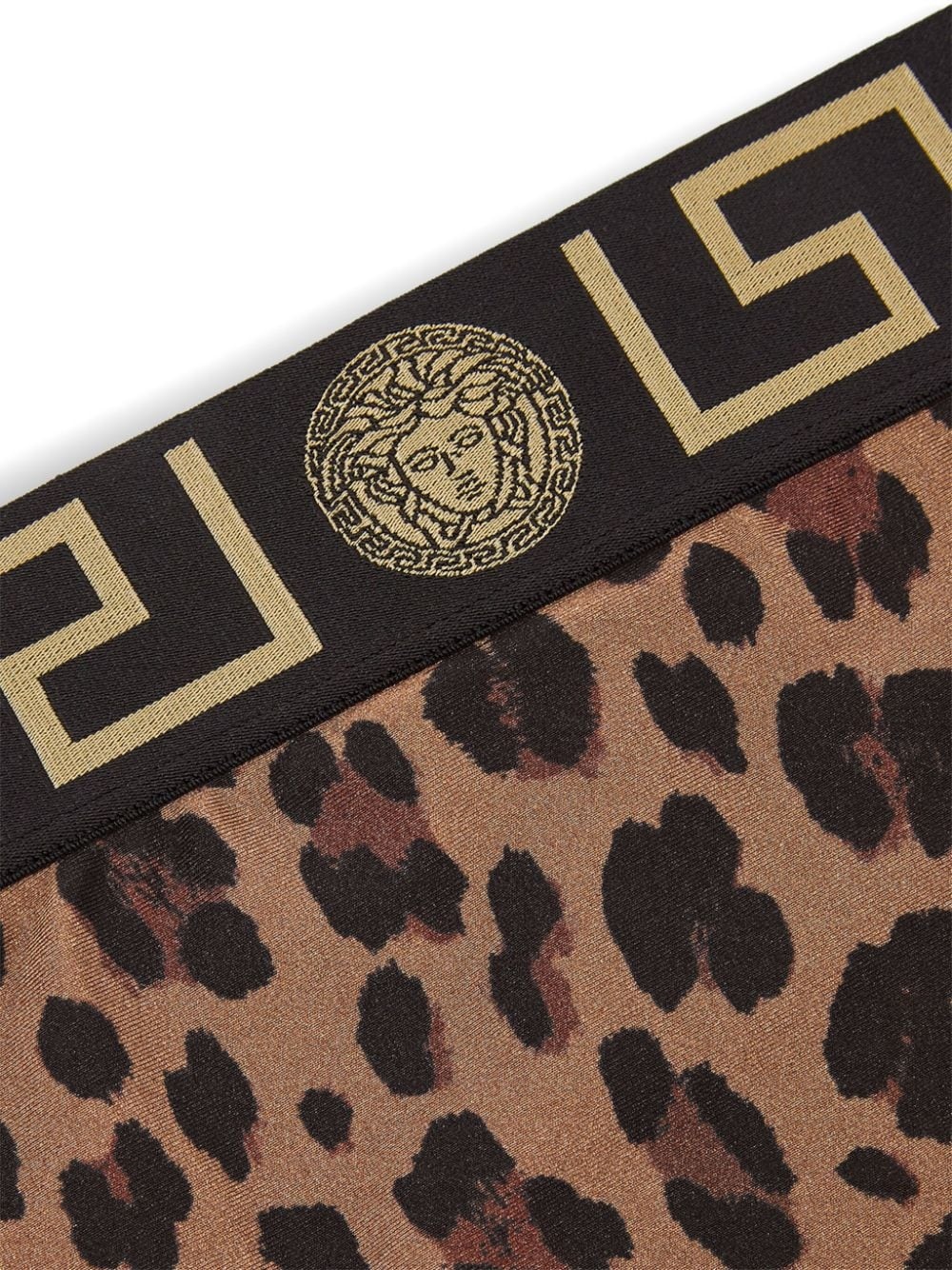 Greca-trim leopard-print bikini bottoms - 3
