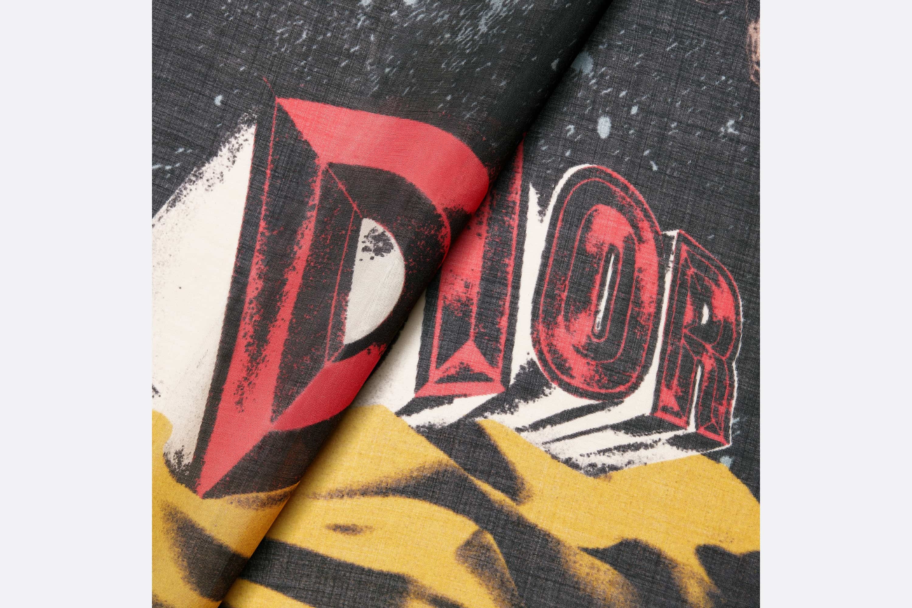 Stole with AsteroDior Motif - 3