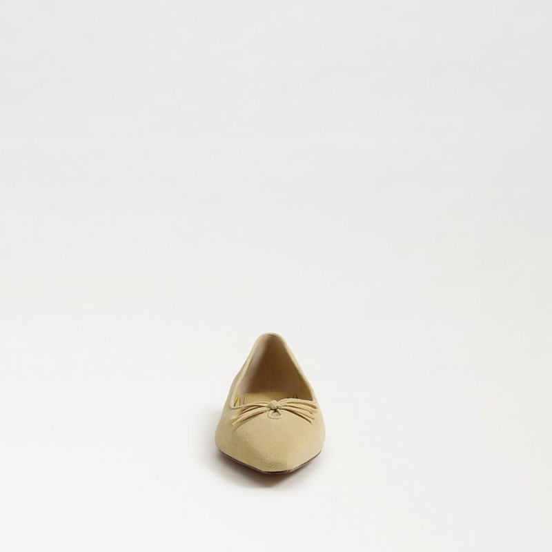 Esmira Pointed Toe Ballet Flat 3