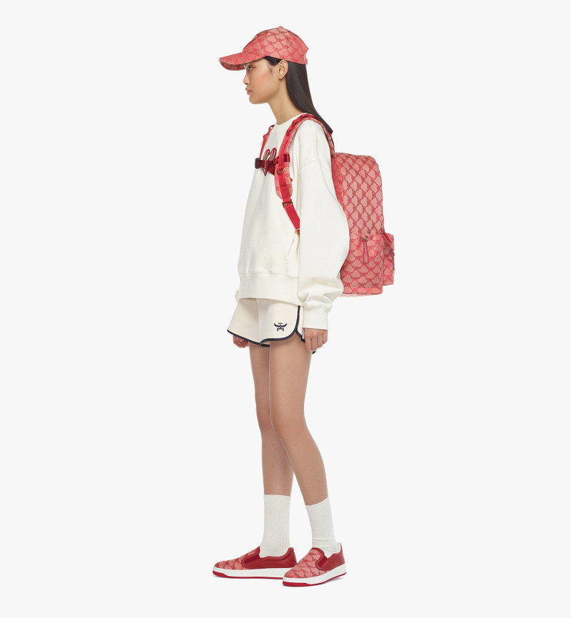 Himmel Backpack in Lauretos Jacquard 6