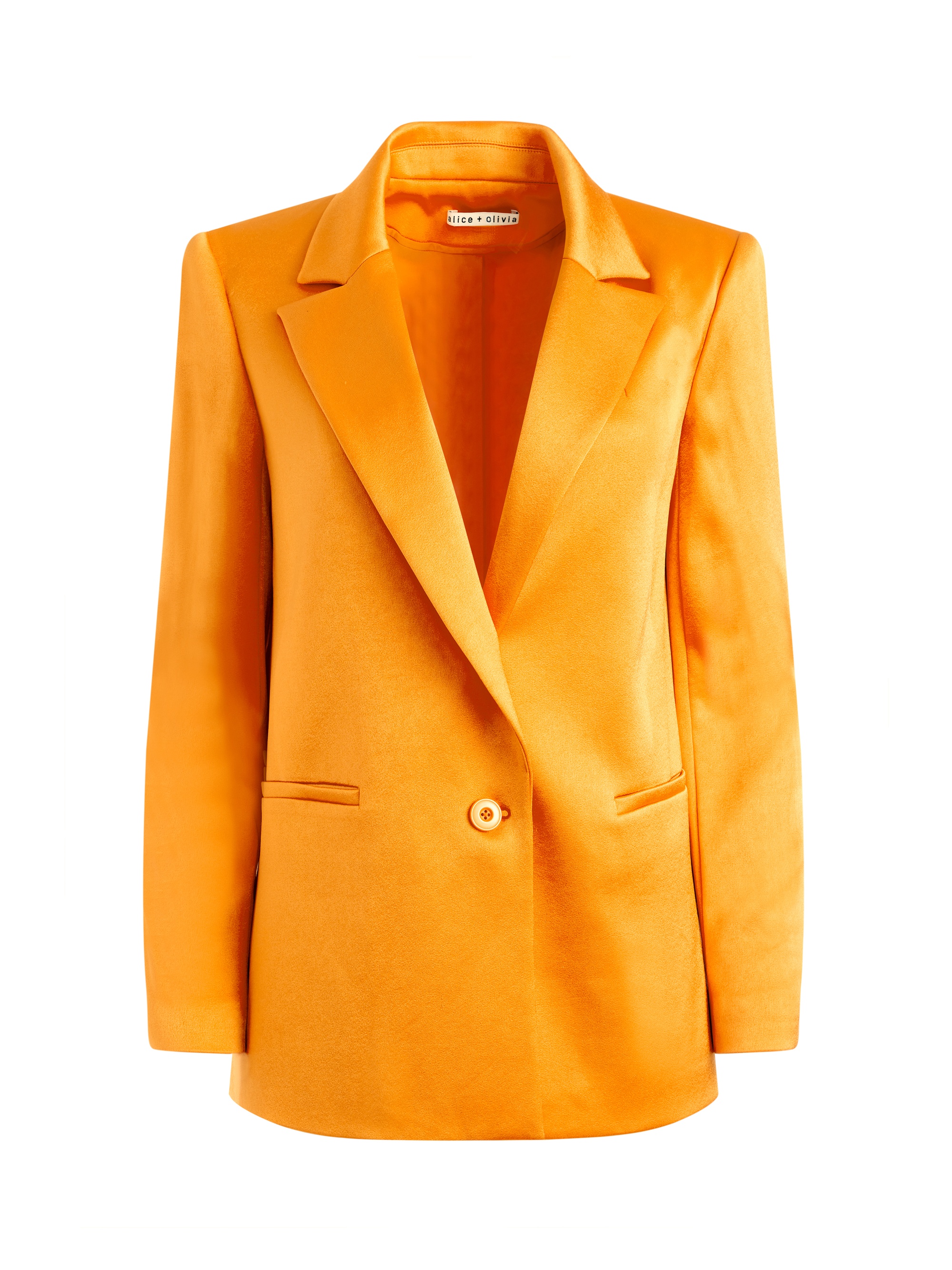 DENNY NOTCH COLLAR BLAZER - 1