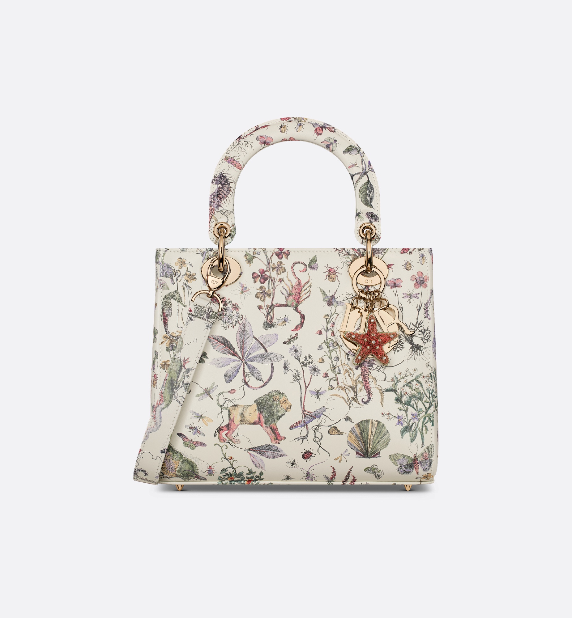 Medium Lady Dior Bag - 1