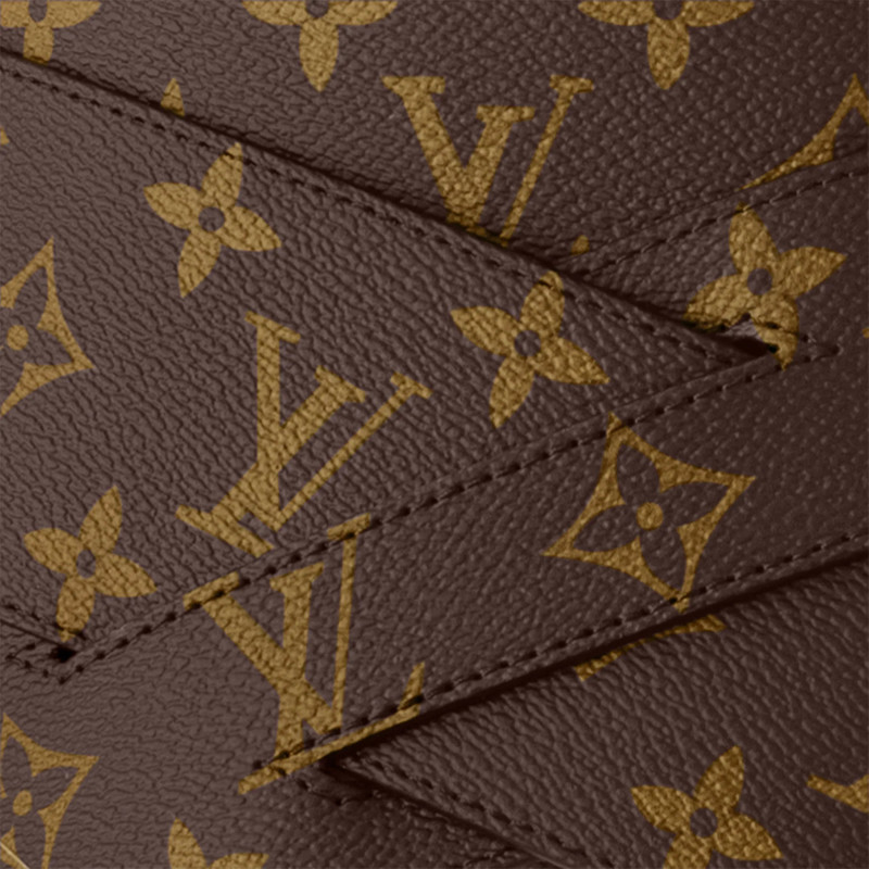 Louis Vuitton LV Wrapped 60mm Belt outlook