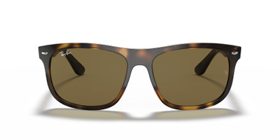 Ray-Ban RB4226 outlook