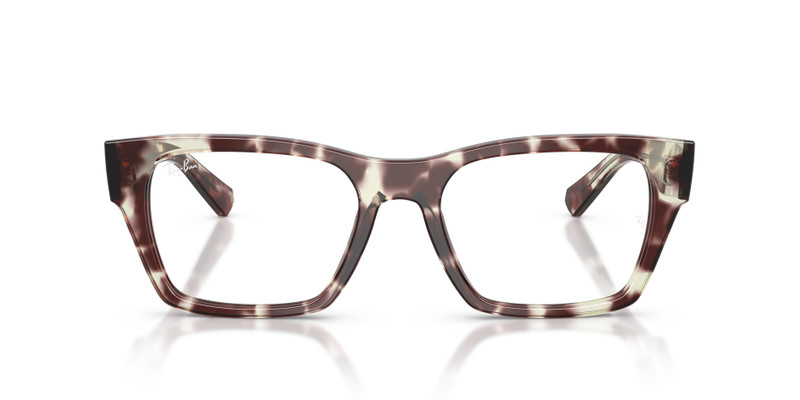 RB5448 OPTICS 4