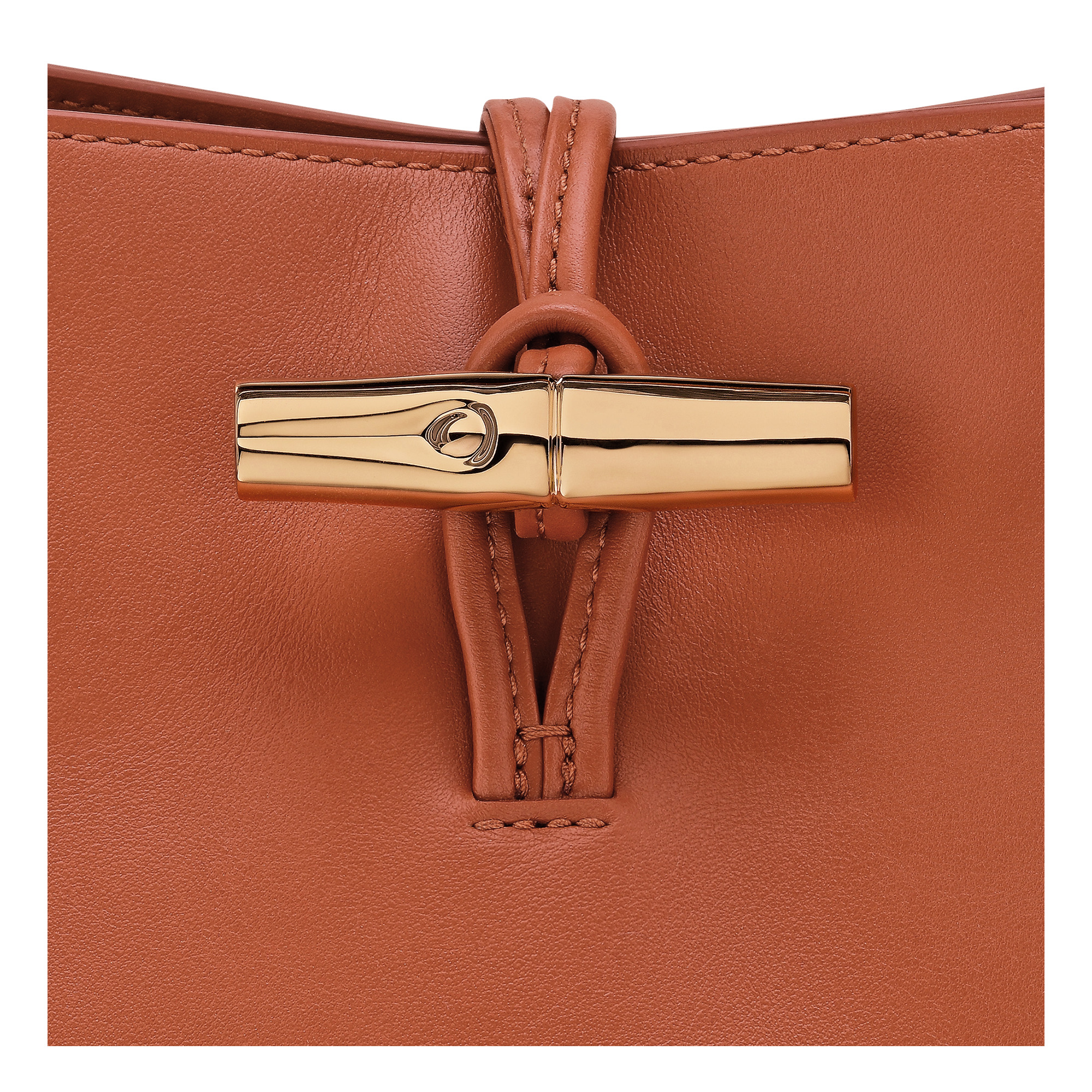 Le Roseau M Hobo bag Bark - Leather - 6