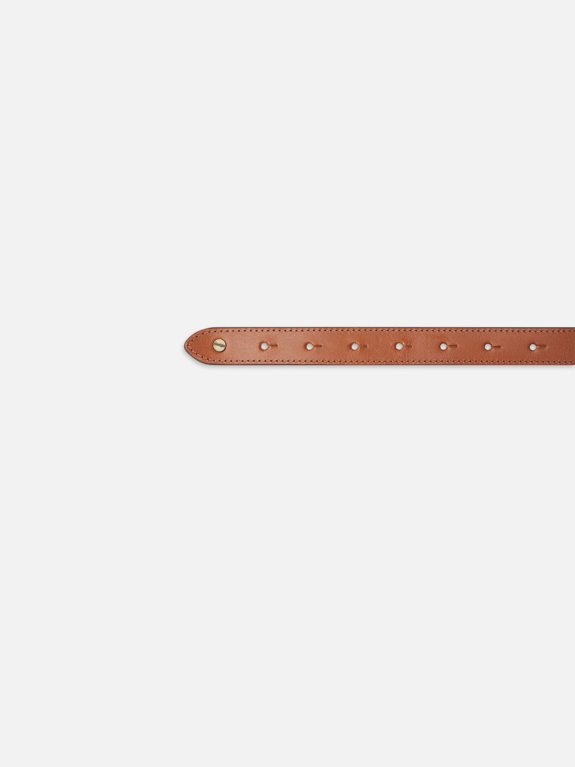 Equestrian Belt in Cognac - 3
