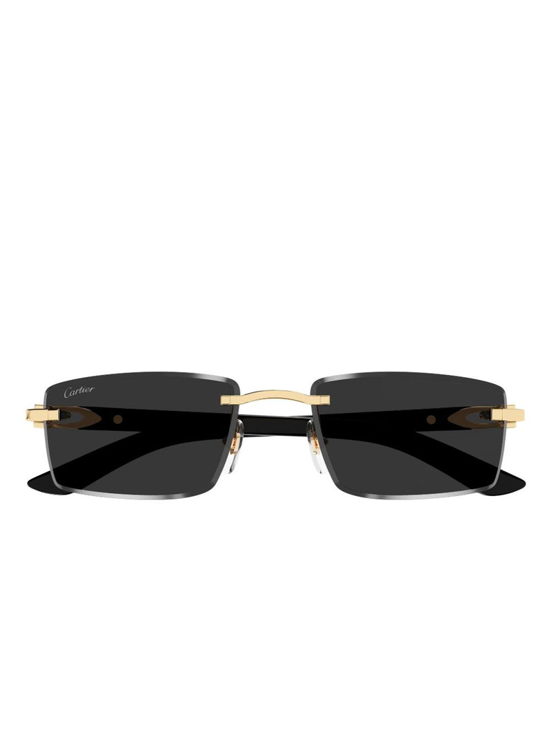 rectangle-frame sunglasses 1