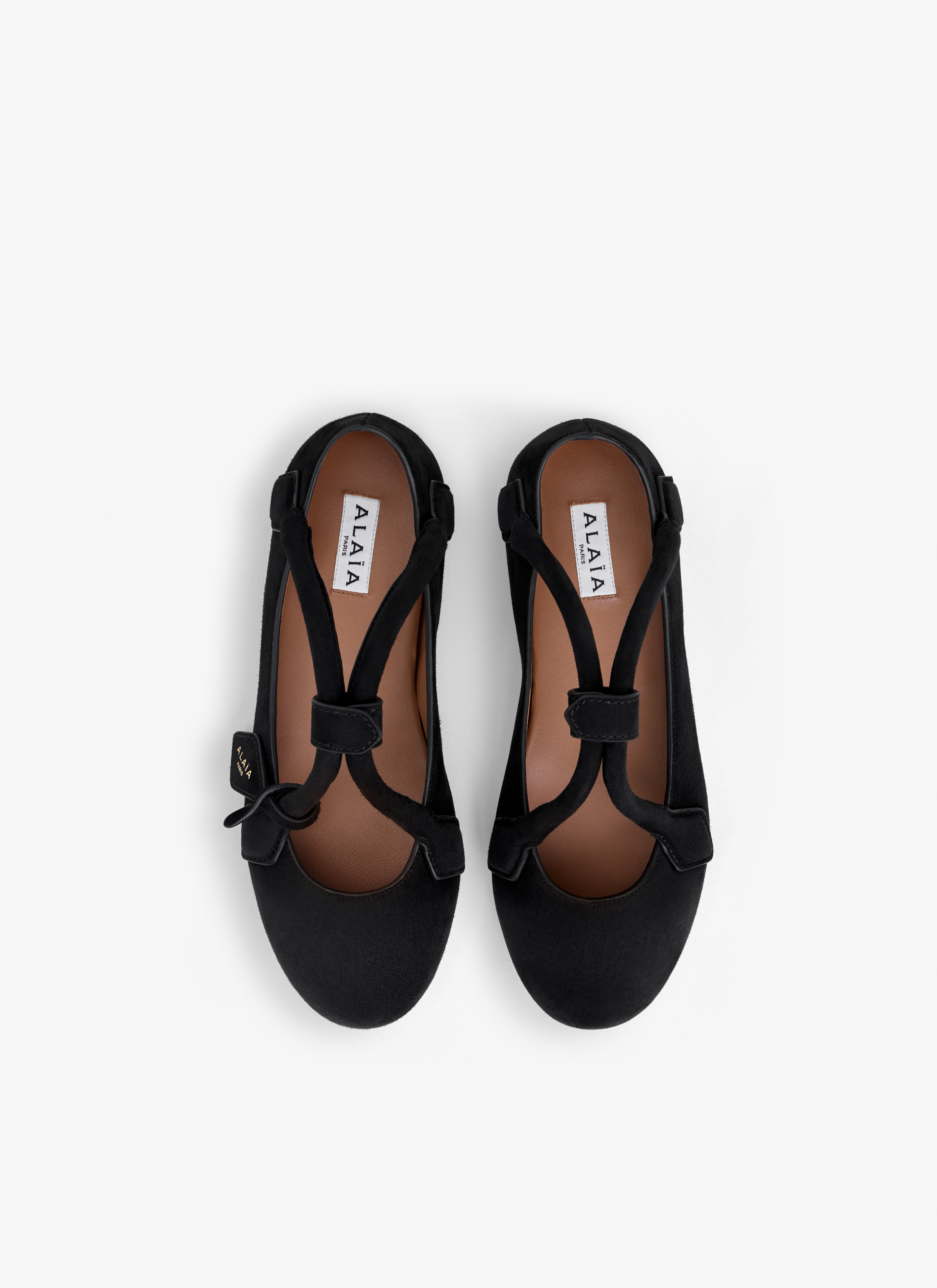 LE TECKEL BALLET FLATS IN SUEDE GOATSKIN - 2