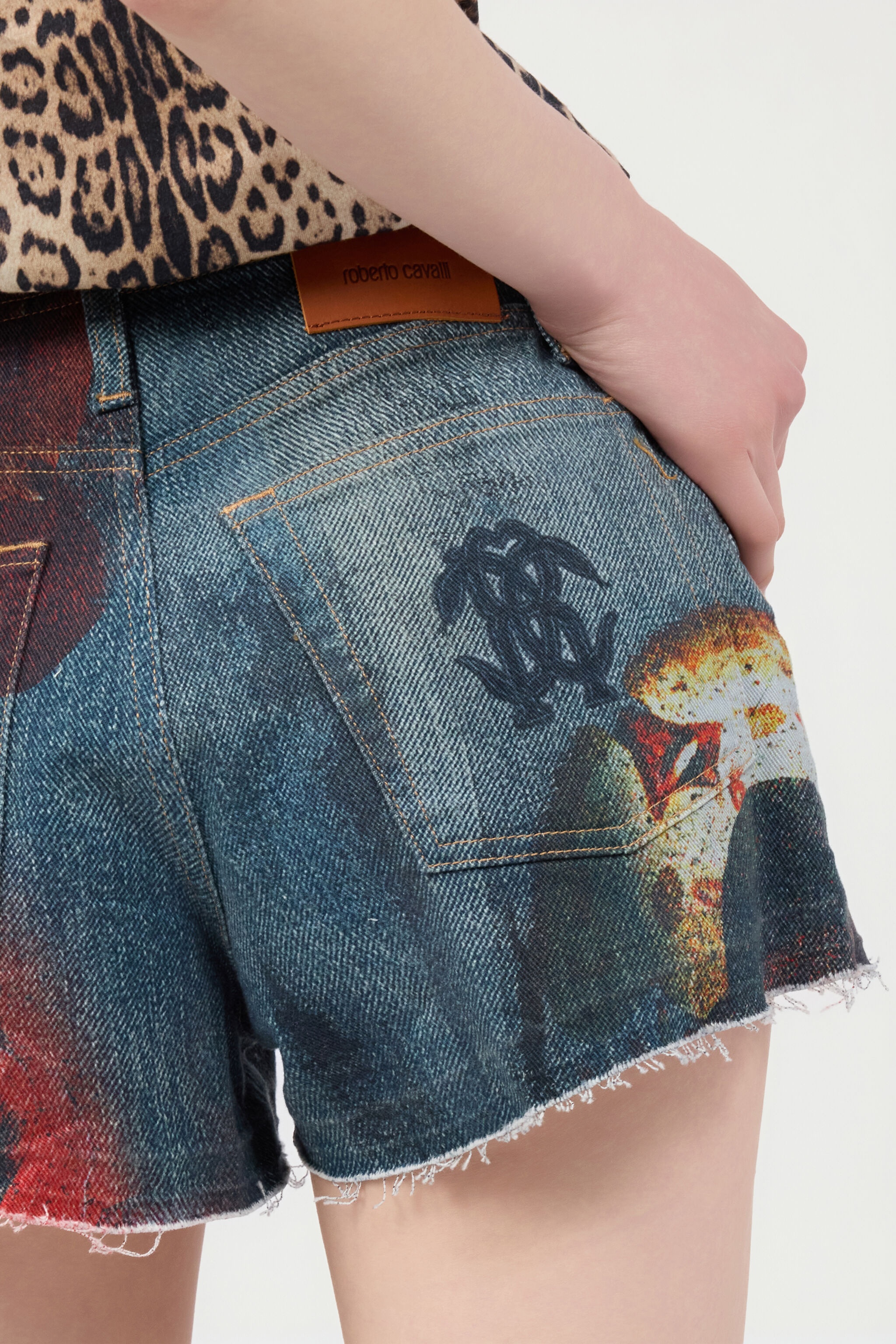 Denim Shorts With Roses And Snakes - 7