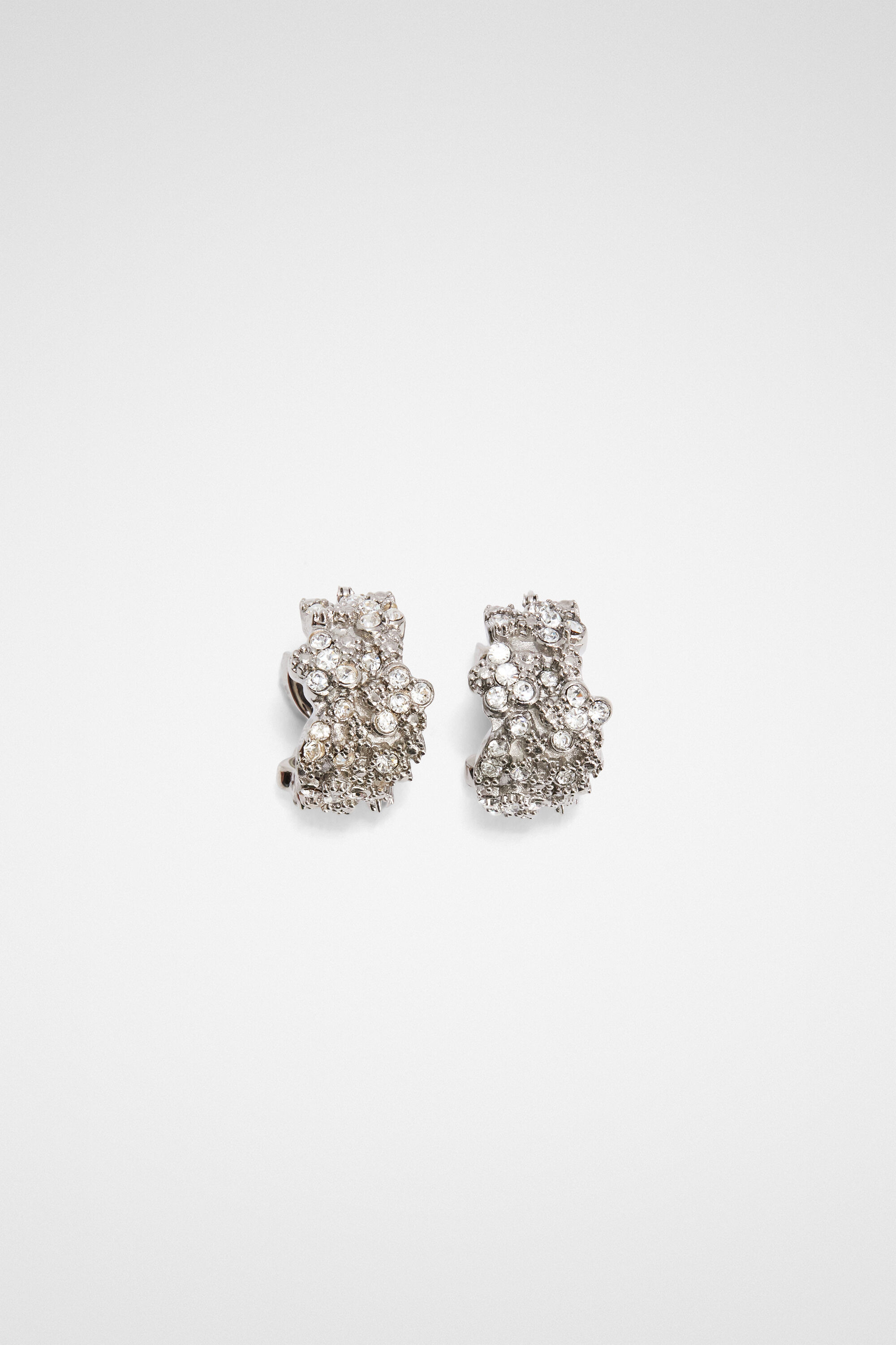 Earrings - 1