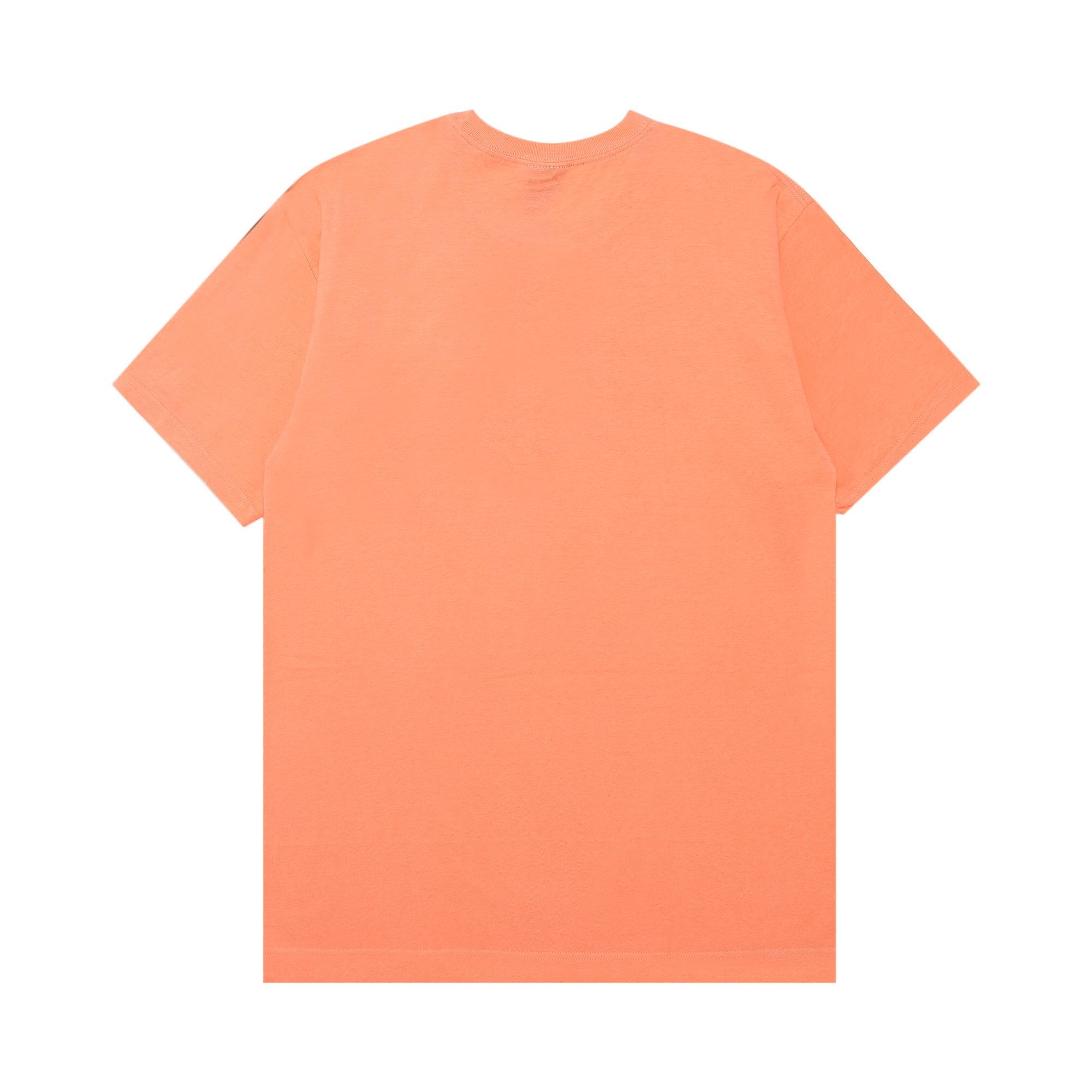 Stussy Cheetah Stock Tee 'Pale Red' - 2