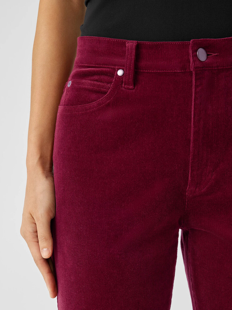 Organic Cotton Stretch Corduroy Straight Pant 5