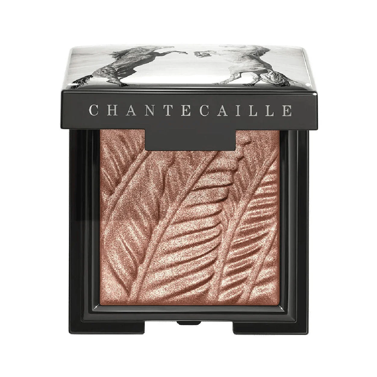 Luminescent Eye Shade - 1