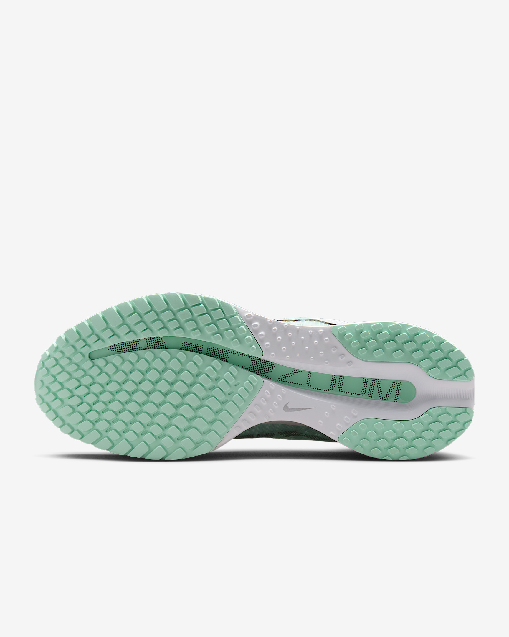 Nike Pegasus Premium Women's Road Running Shoes - 2