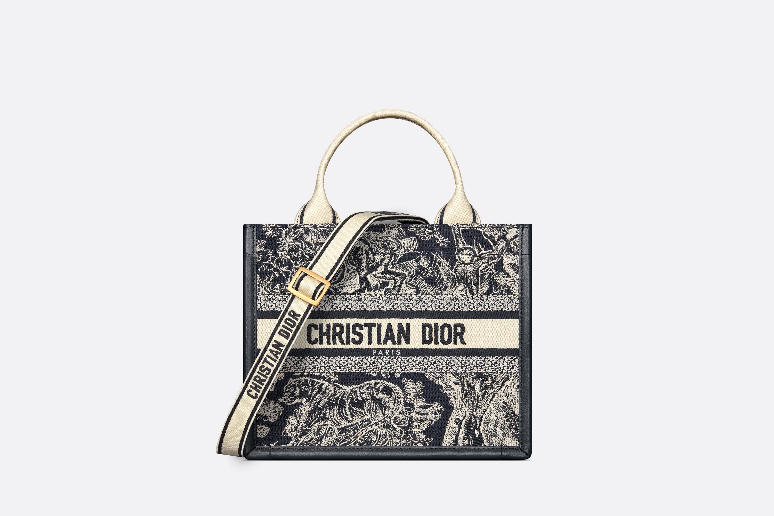 Small Dior Book Tote - 1