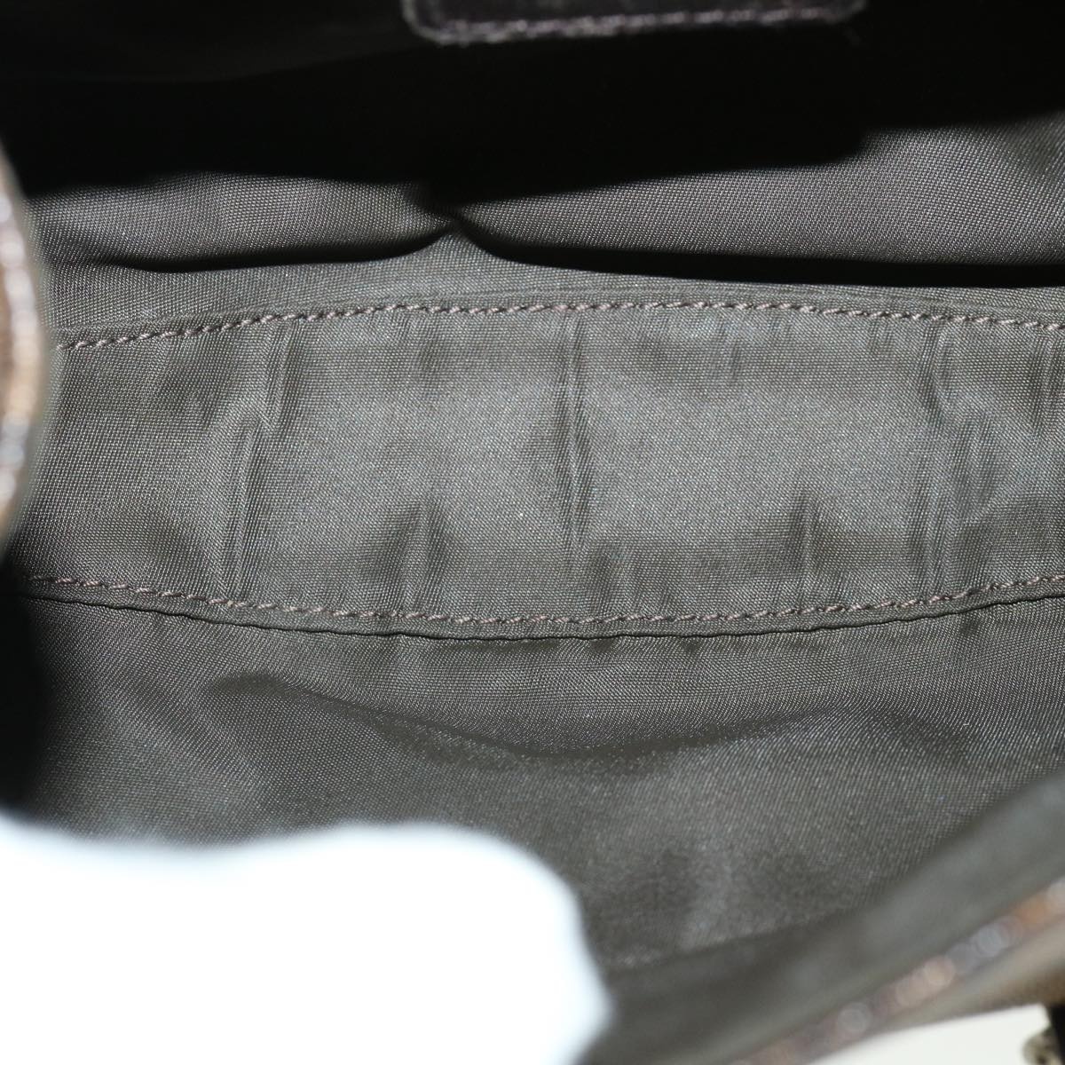 DIOR Trotter Canvas Hand Bag Brown - 11