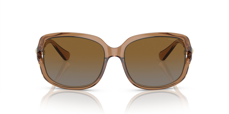 COACH HC8169 L149 outlook