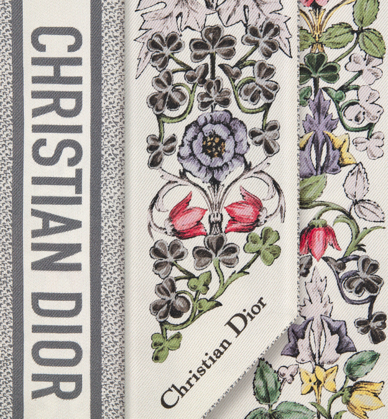 Dior Around the World Mitzah Scarf 4