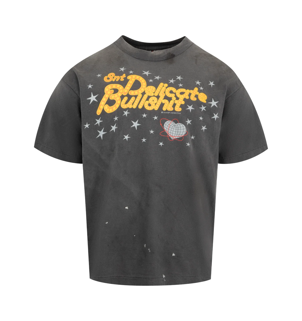 DELICATE BULLSHIT TEE - 1