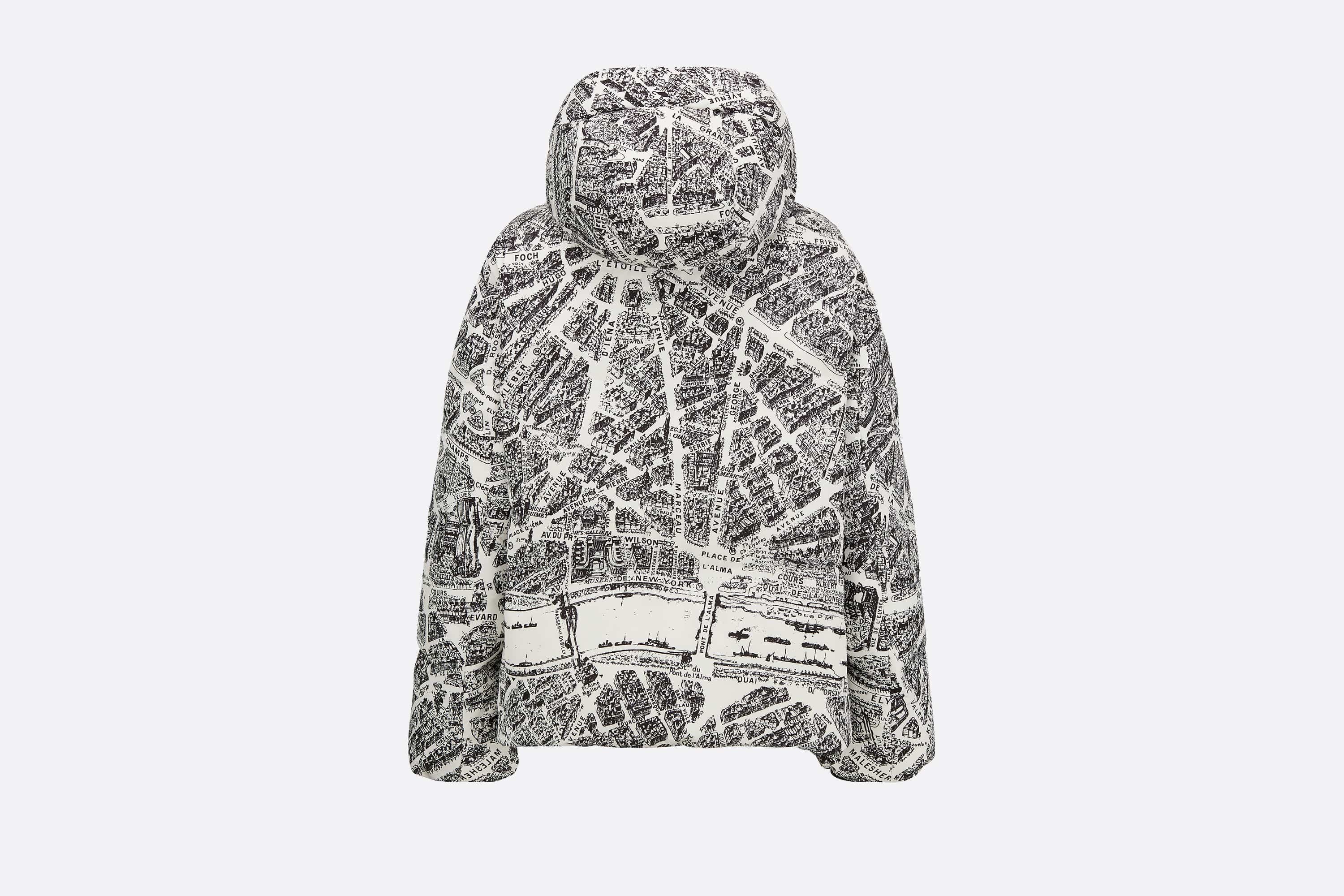 DiorAlps Hooded Puffer Jacket - 6