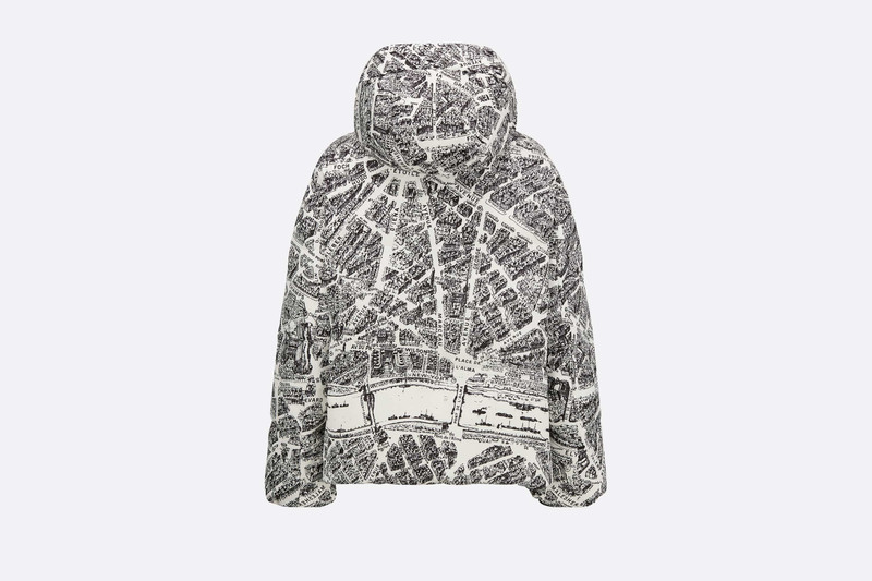DiorAlps Hooded Puffer Jacket 6