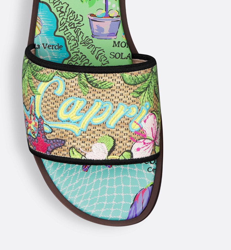 Dior Souvenir Dway Slide 4