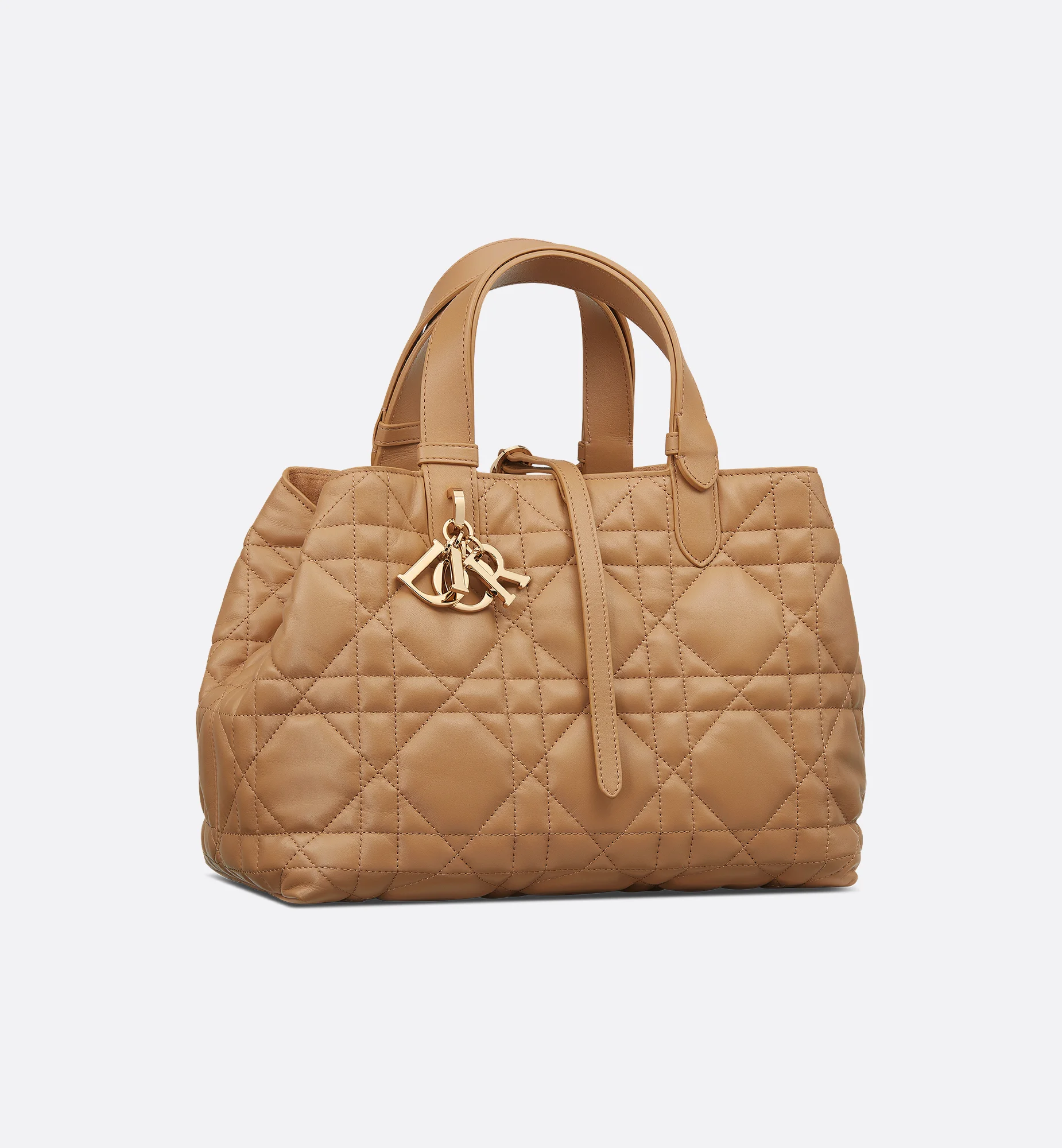 Medium Dior Toujours Bag - 1
