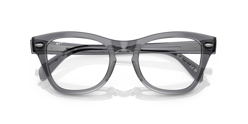 RB0707 OPTICS 6