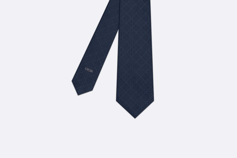 Dior Cannage Tie outlook