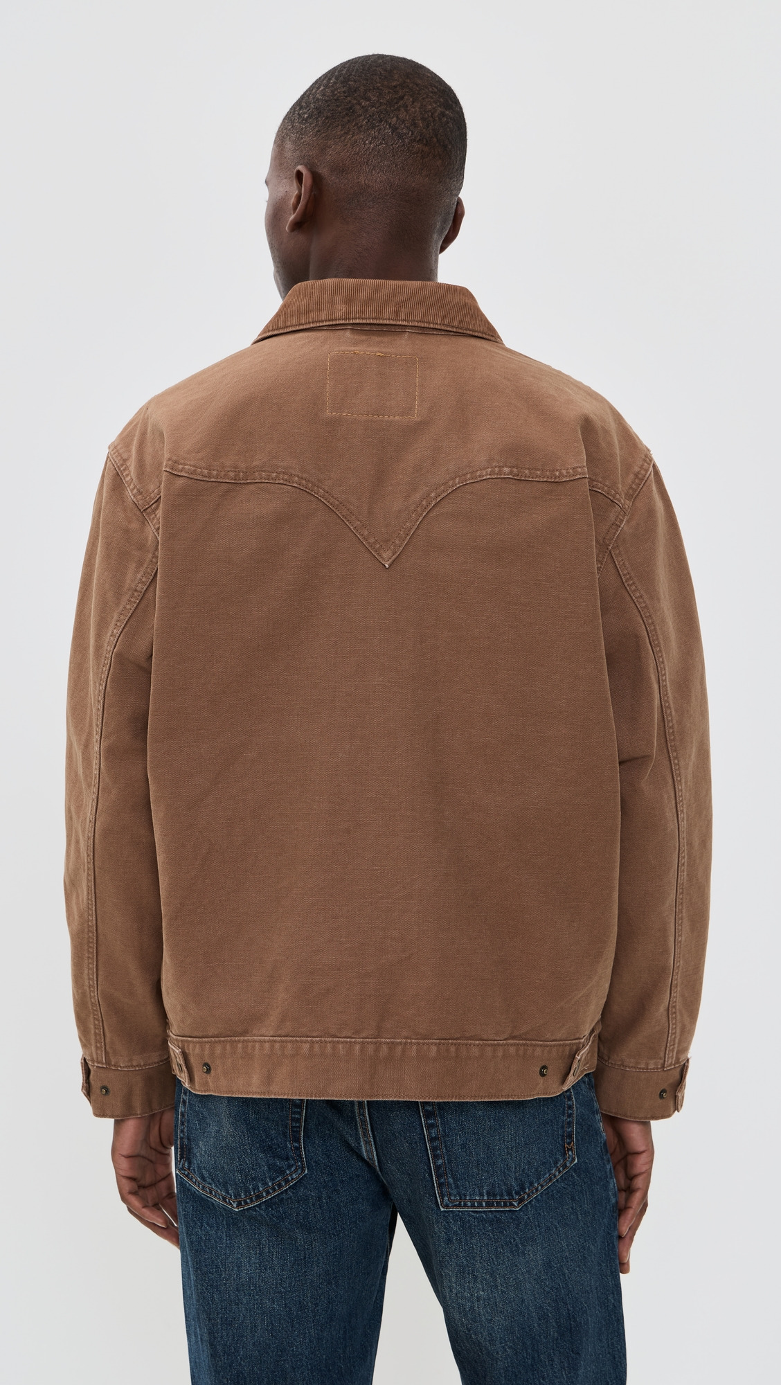 Western Shorthorn Trucker - 2