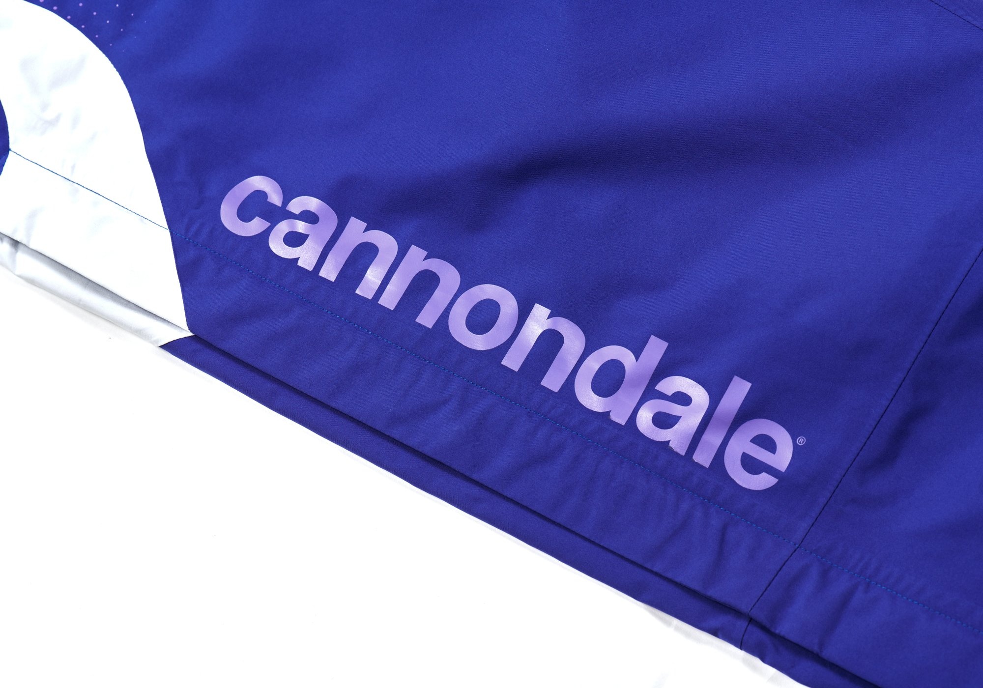 PALACE CANNONDALE MAD BOY GORE-TEX PACLITE PANT BLUE / VIOLET - 9