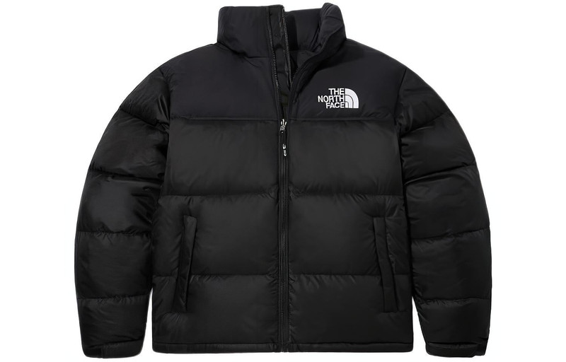 The North Face THE NORTH FACE 1960 Eco Nuptse Jacket 'Black' NJ1DP05A outlook