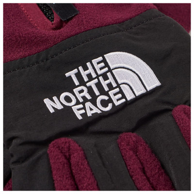 The North Face The North Face Denali E-Tip Glove outlook