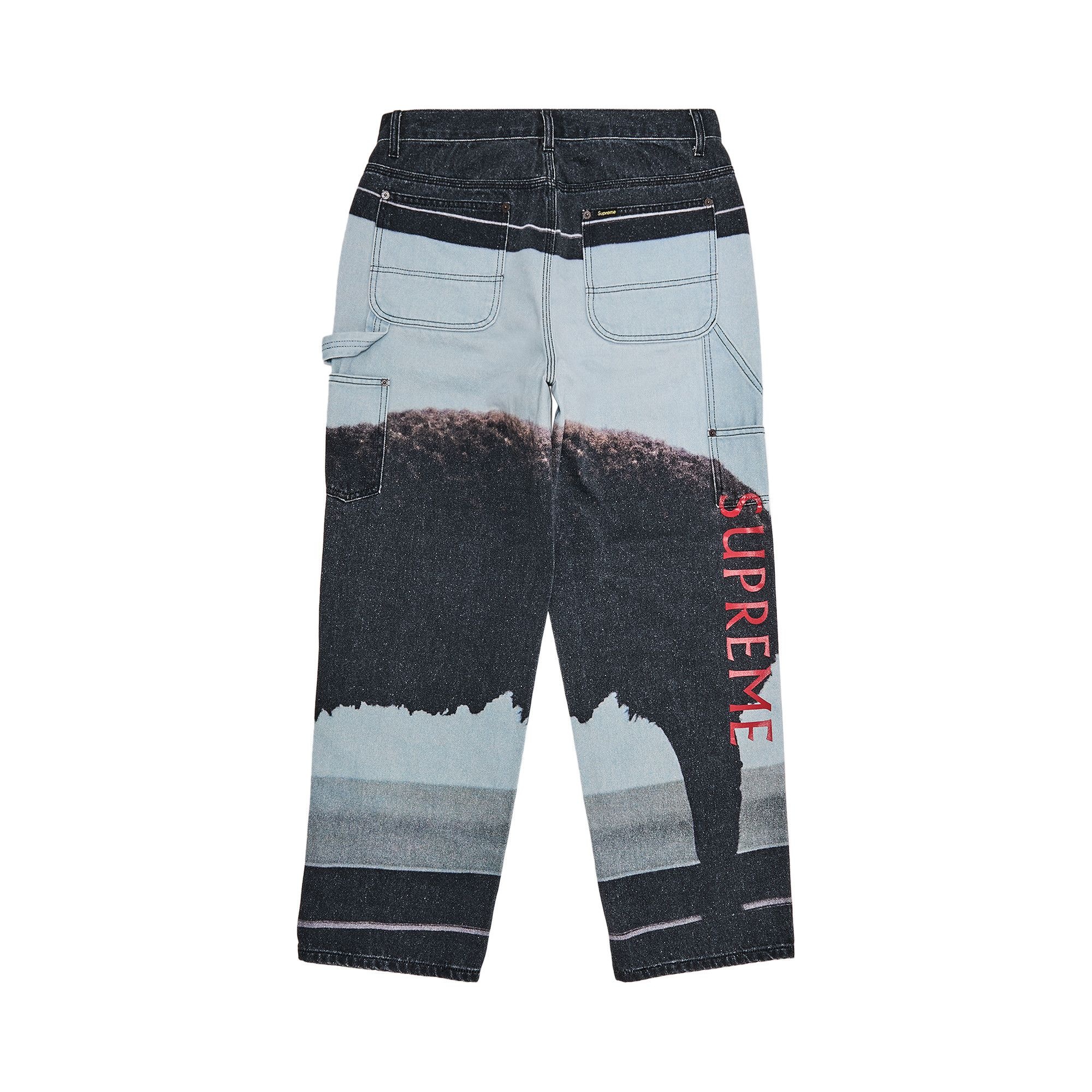 Supreme x Damien Hirst Painter Jean 'Black' - 2