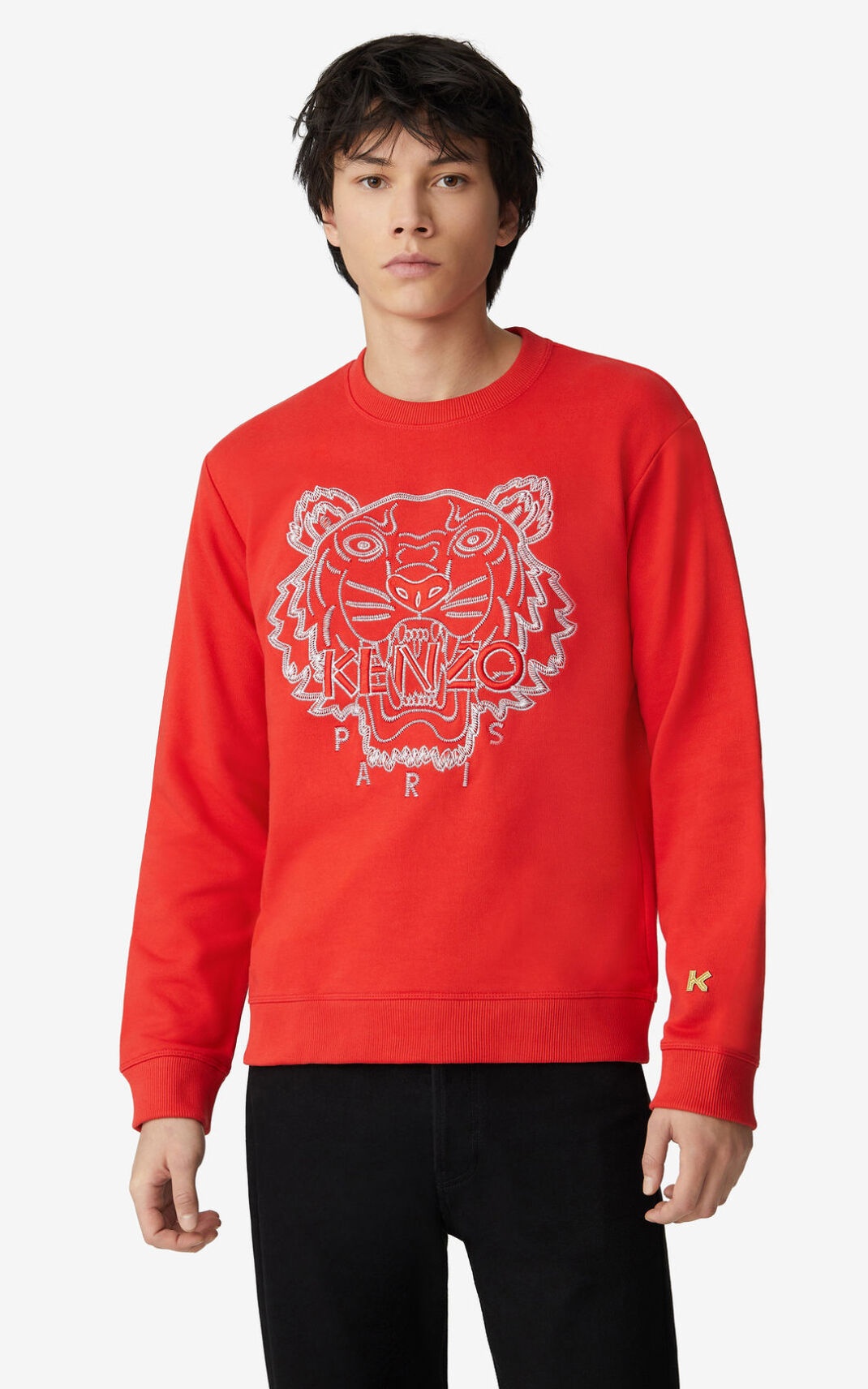 Tiger sweatshirt - 2