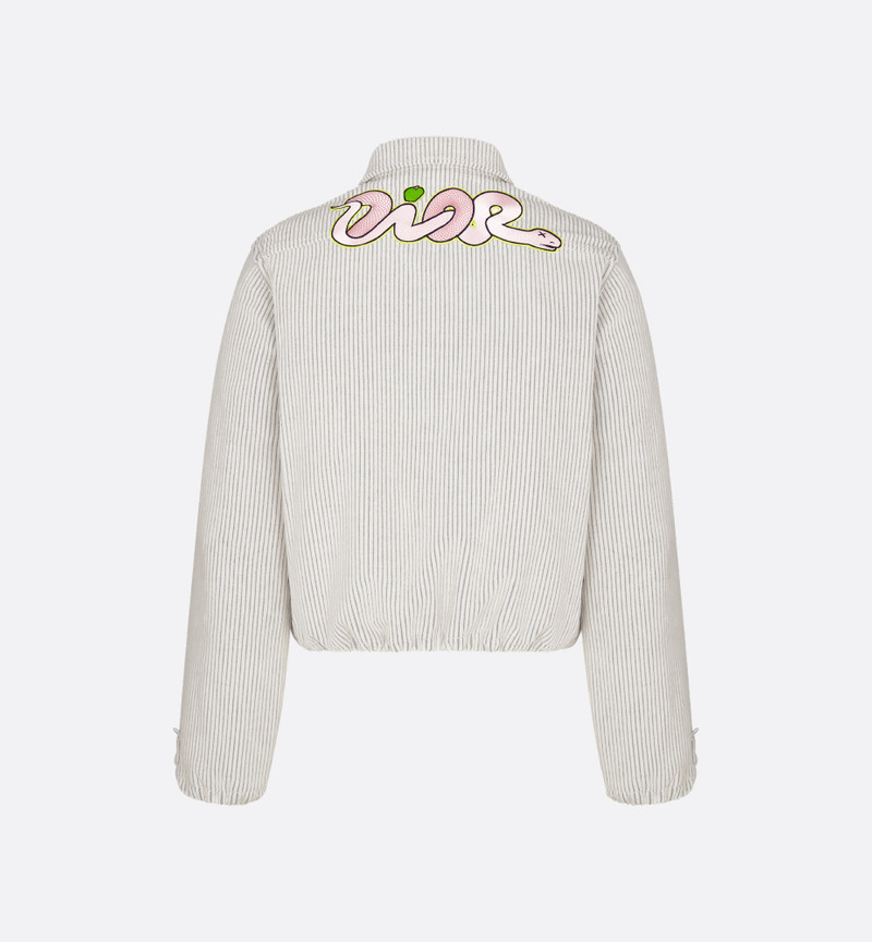 DIOR AND KAWS Zipped Blouson Jacket 6