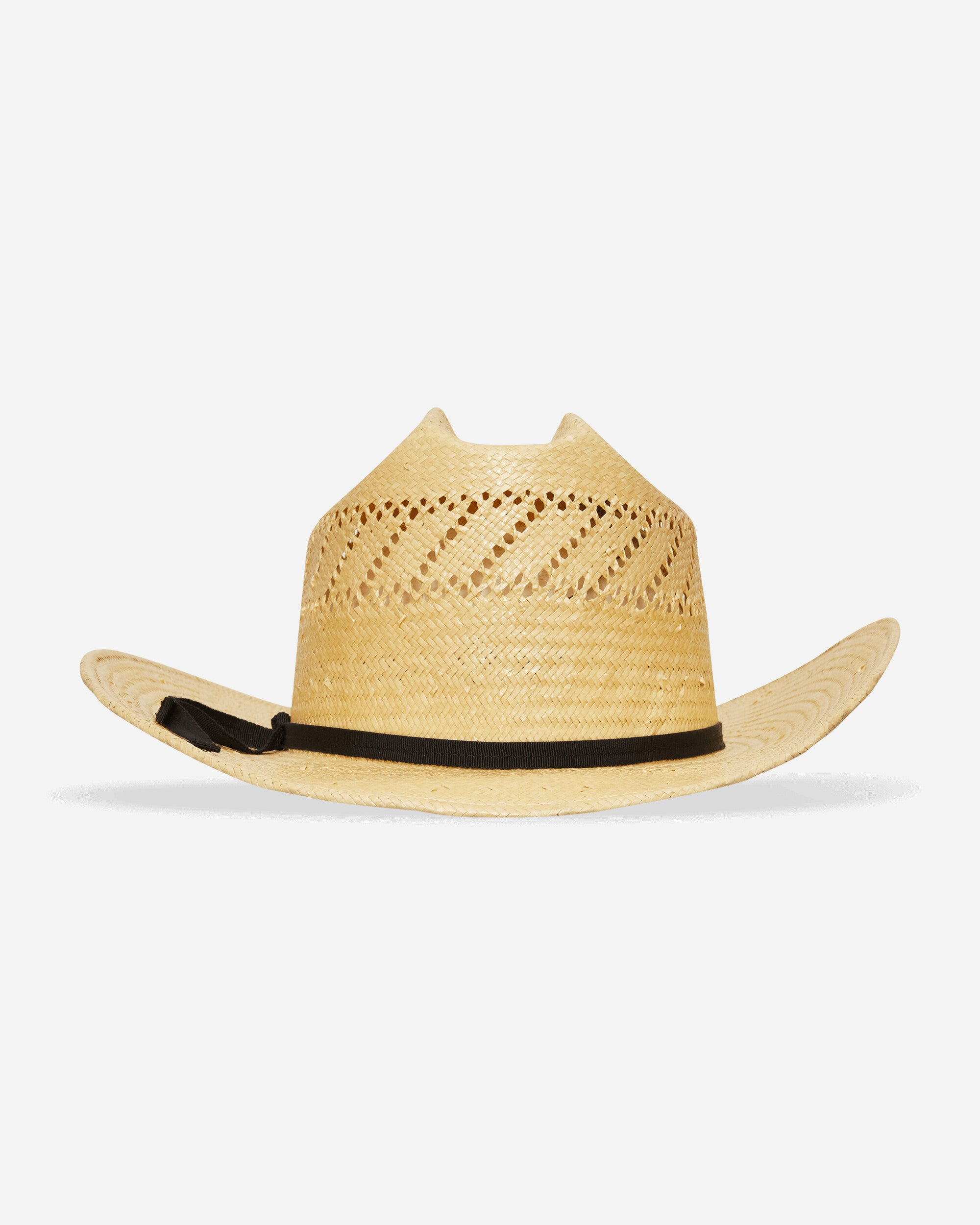 Paper Hat Nature - 4