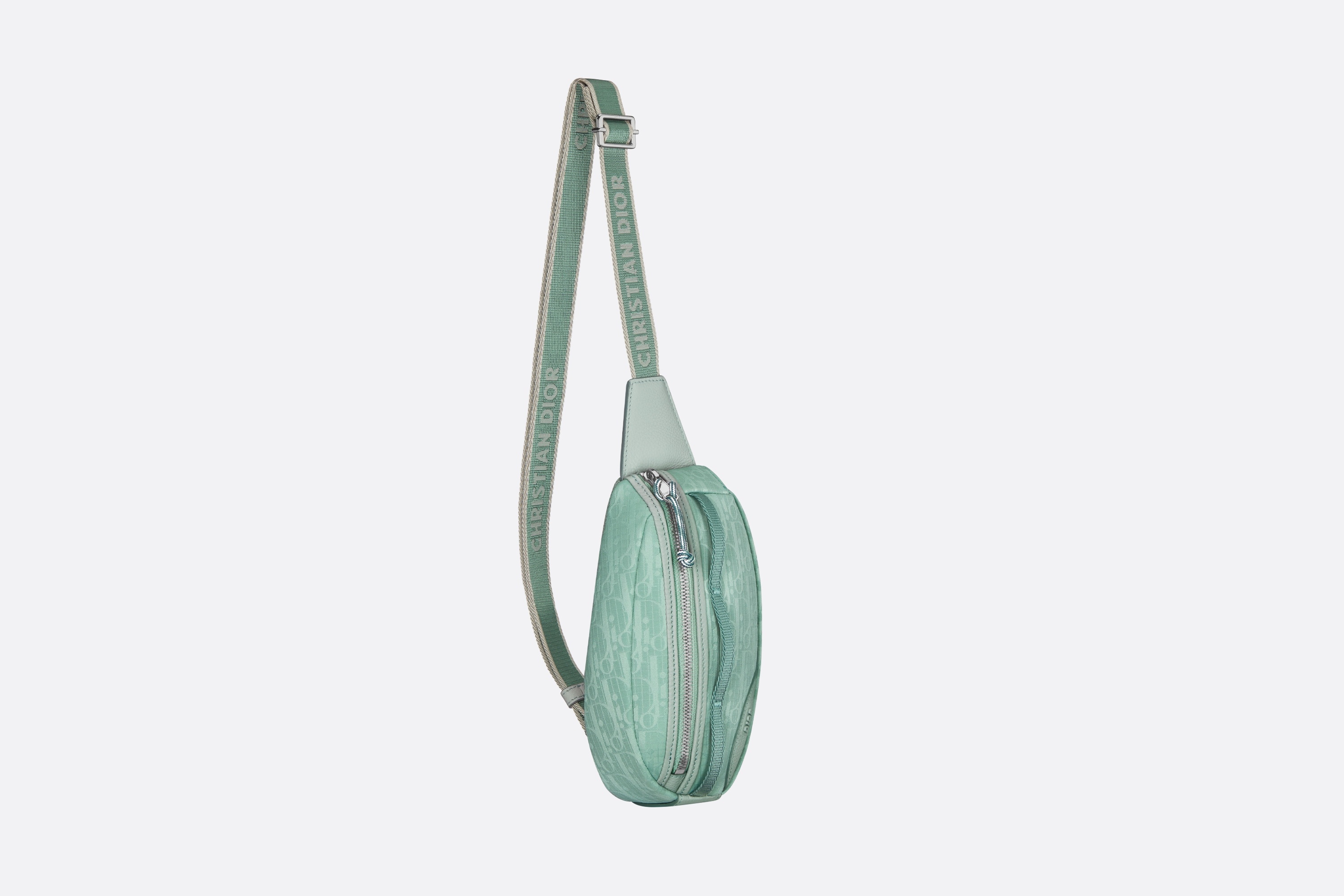 Mini Dior Scarab Bag 5