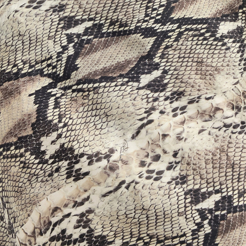 Long Silk Skirt with Python Print 5