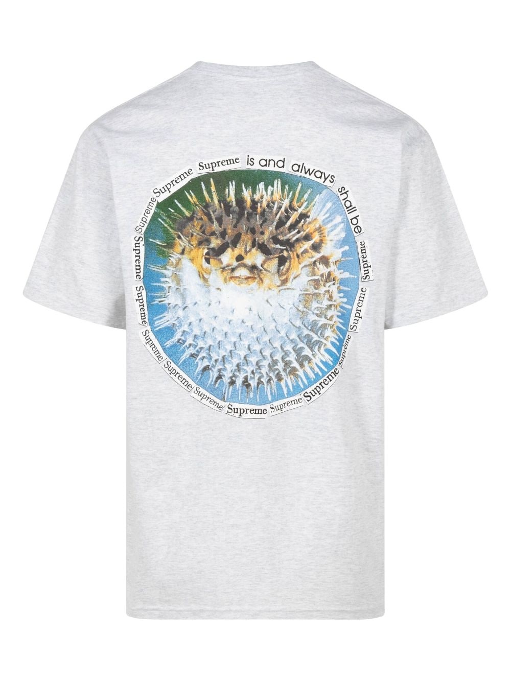 Blowfish cotton T-shirt - 3